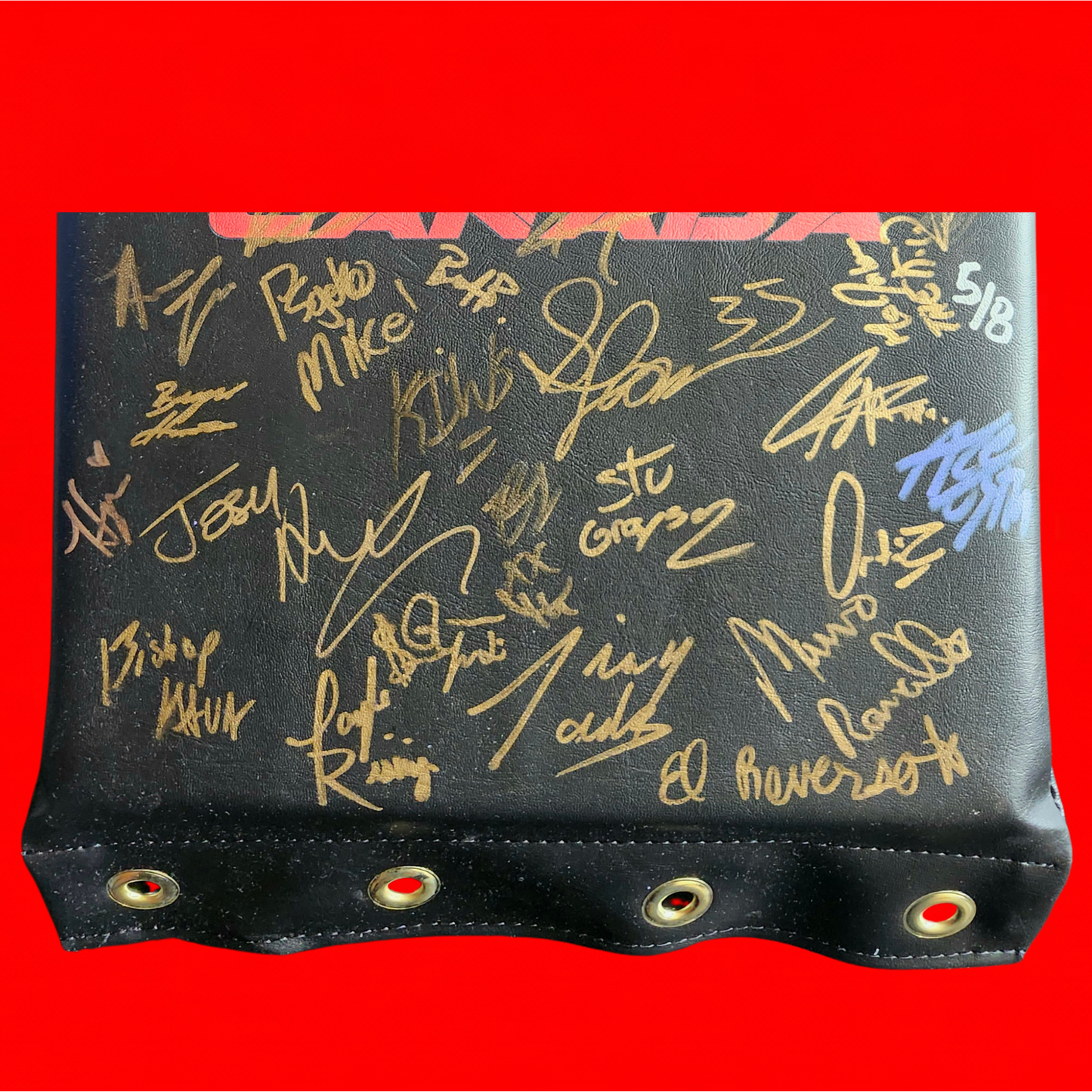 MLP/ROH Global Wars Autographed Turnbuckle 5/8