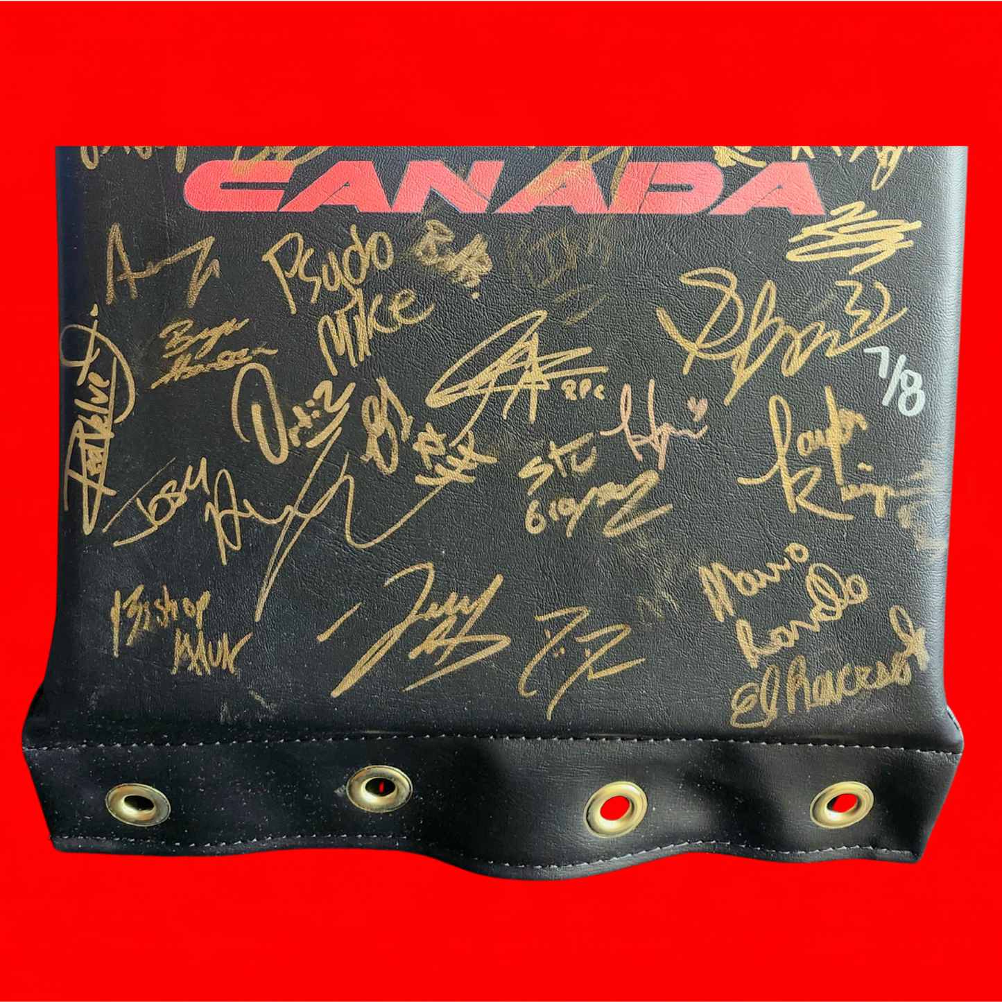 MLP/ROH Global Wars Autographed Turnbuckle 7/8