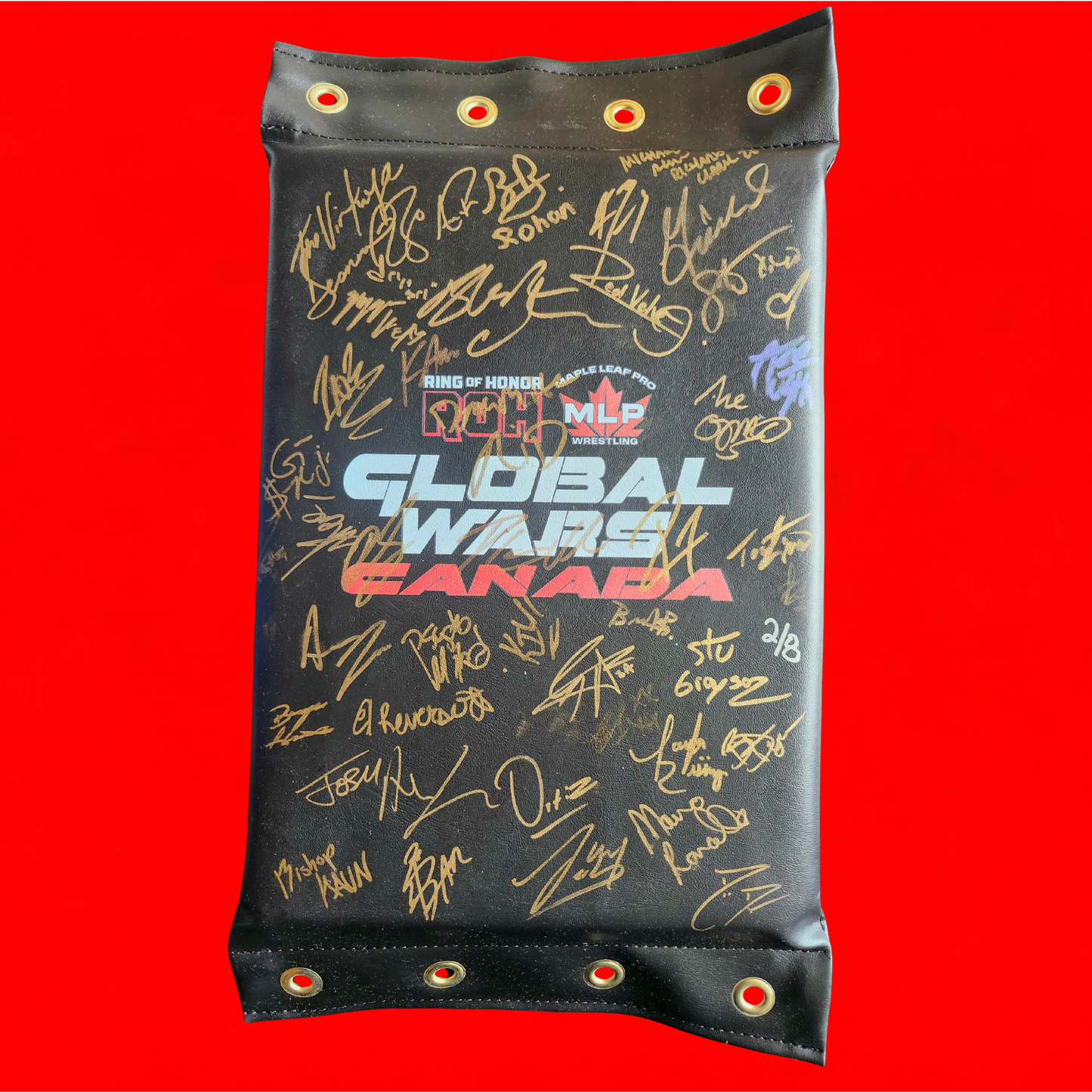 MLP/ROH Global Wars Autographed Turnbuckle 2/8