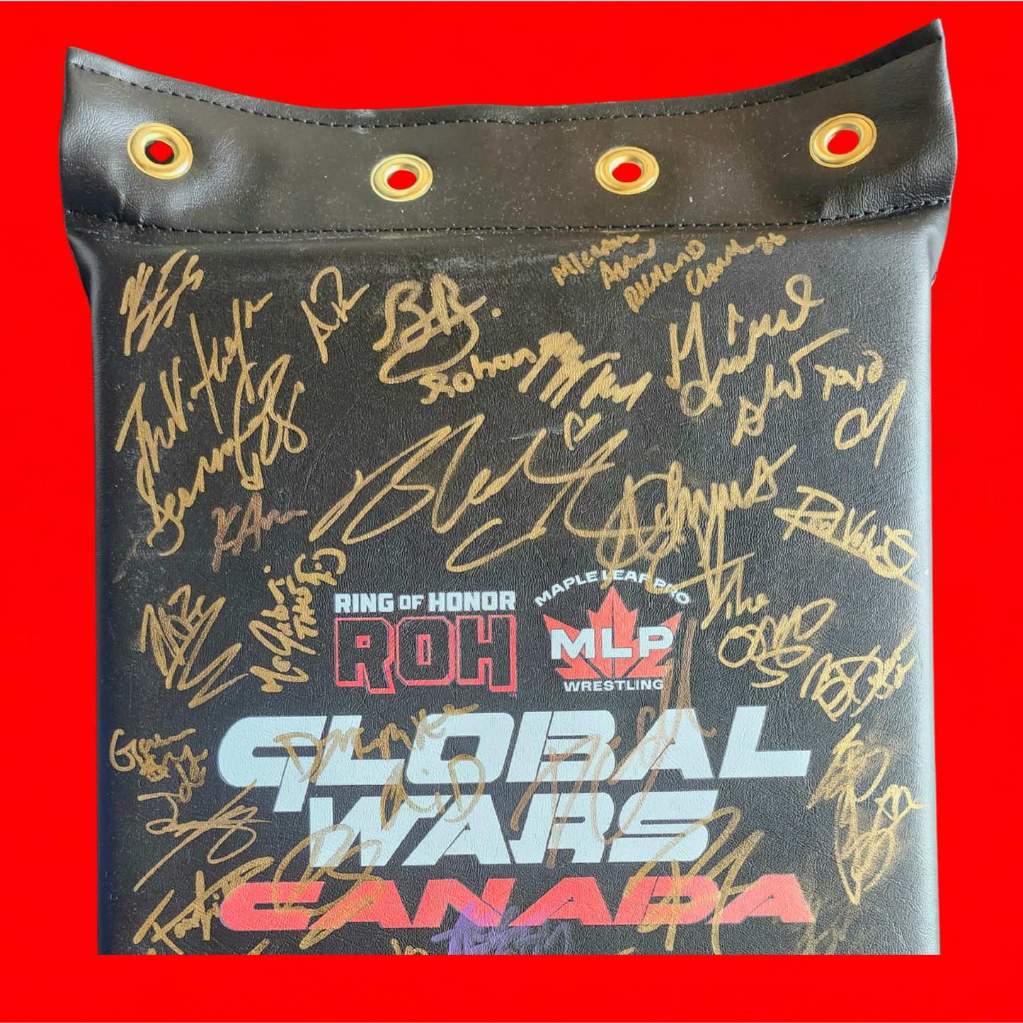 MLP/ROH Global Wars Autographed Turnbuckle 3/8