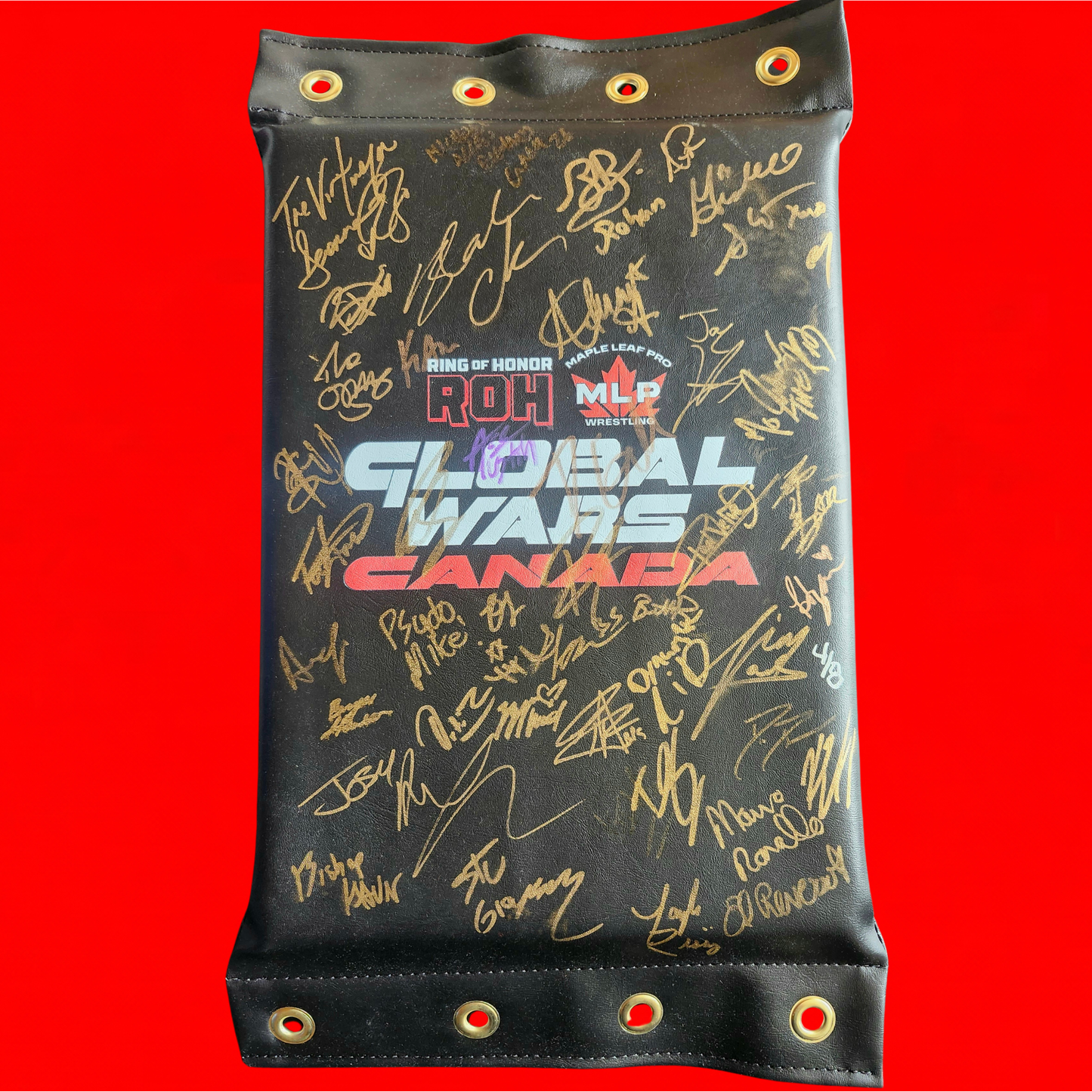 MLP/ROH Global Wars Autographed Turnbuckle 4/8