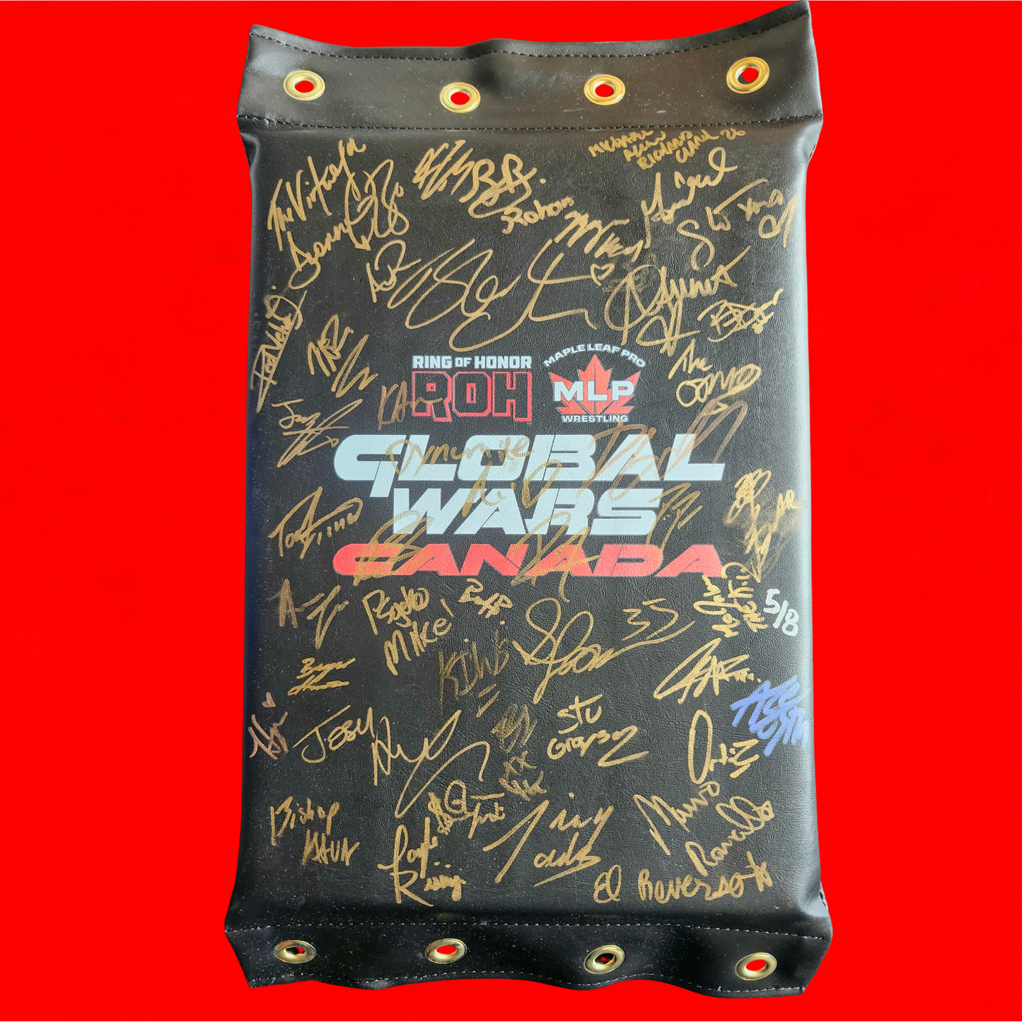 MLP/ROH Global Wars Autographed Turnbuckle 5/8