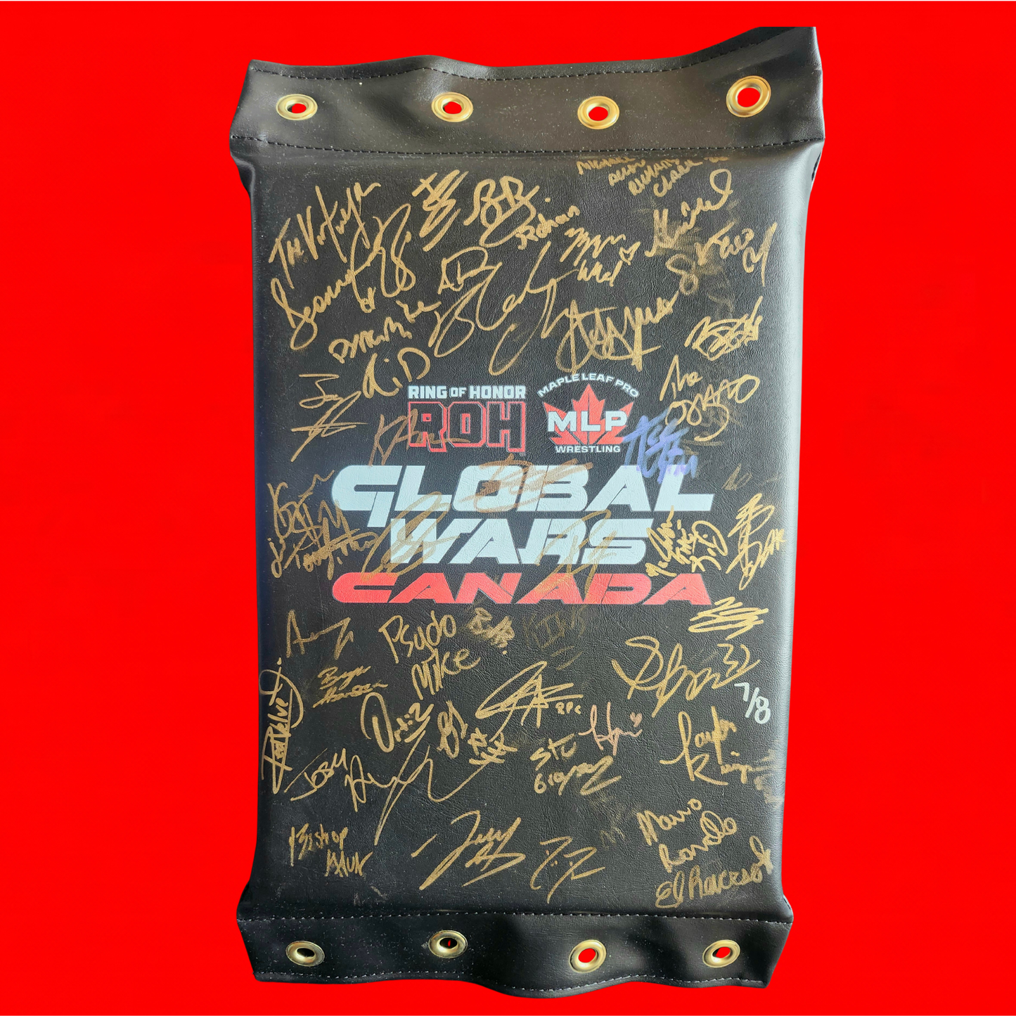 MLP/ROH Global Wars Autographed Turnbuckle 7/8
