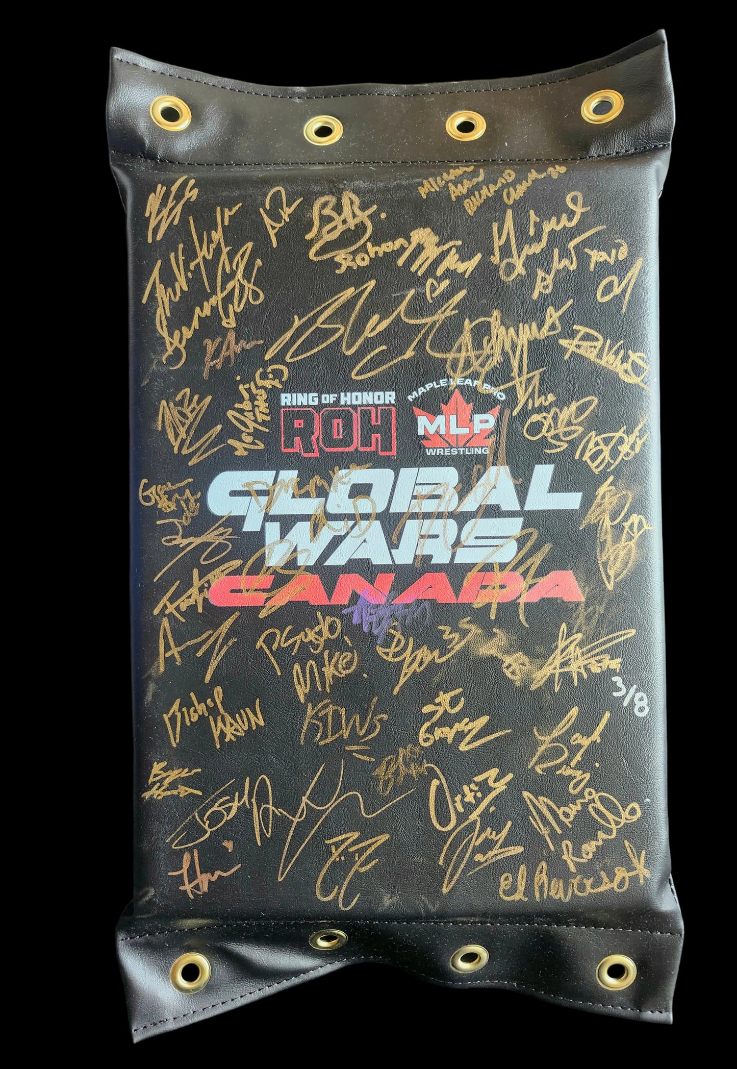 MLP/ROH Global Wars Autographed Turnbuckle 3/8