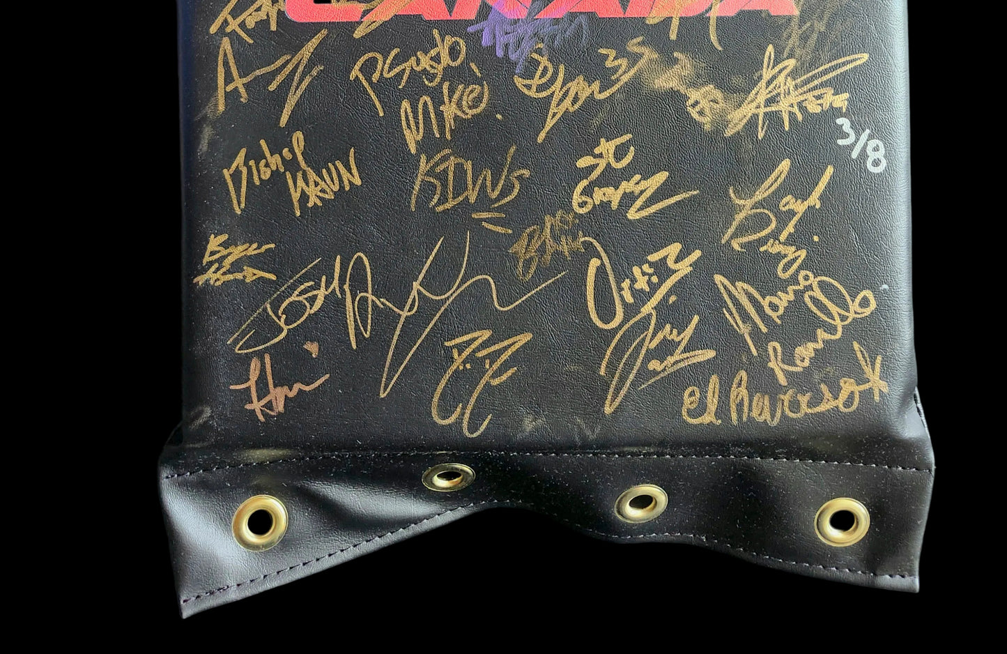 MLP/ROH Global Wars Autographed Turnbuckle 3/8