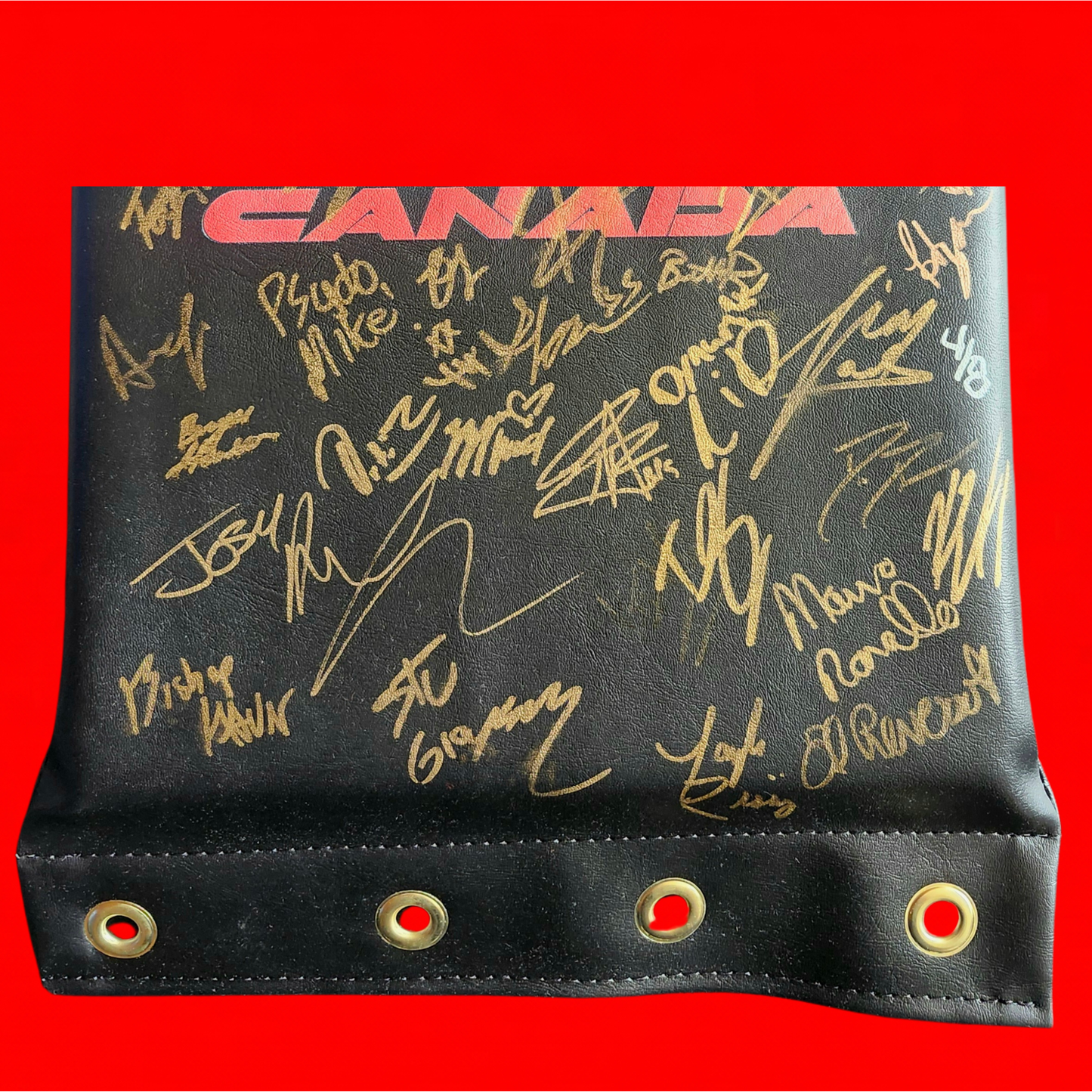 MLP/ROH Global Wars Autographed Turnbuckle 4/8