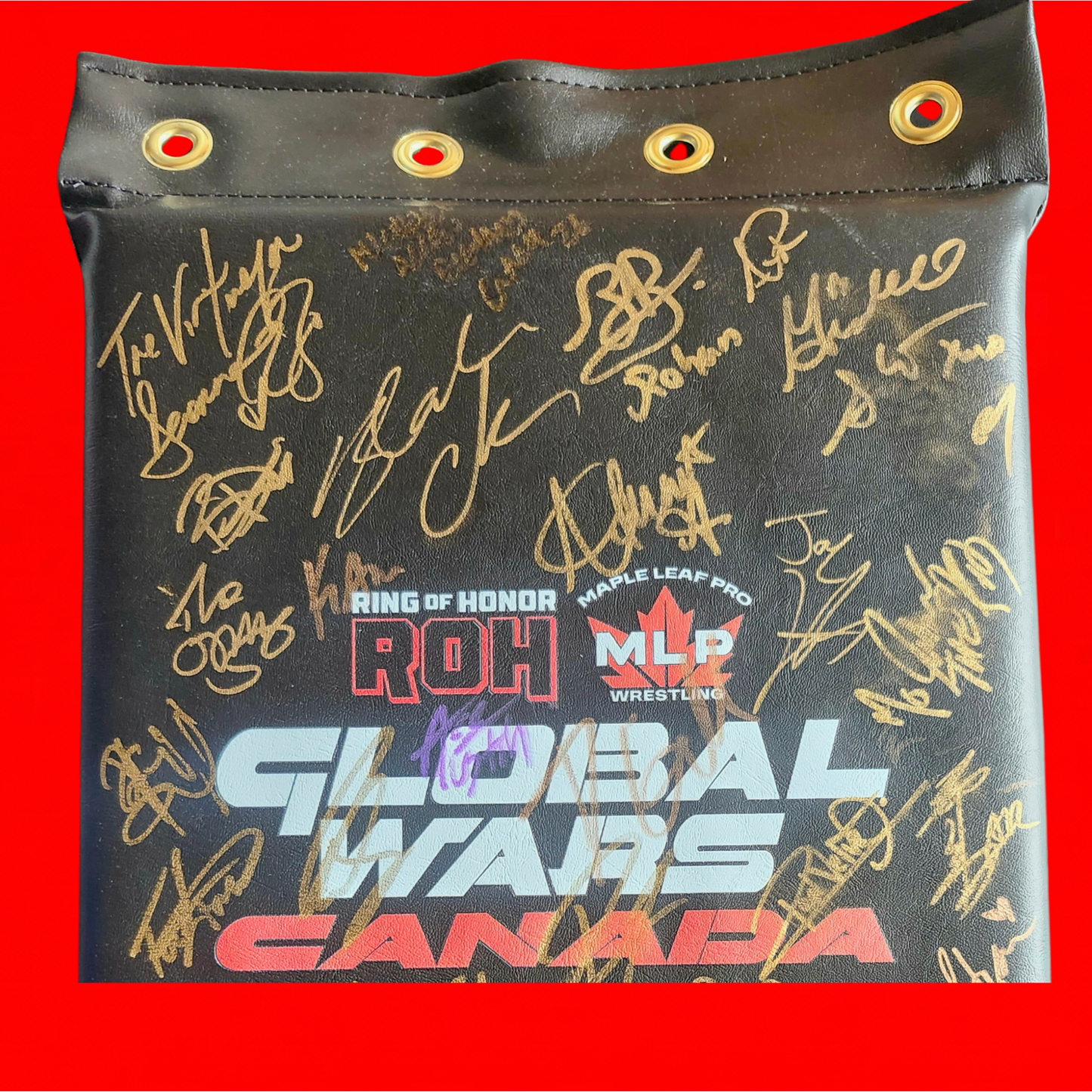 MLP/ROH Global Wars Autographed Turnbuckle 4/8