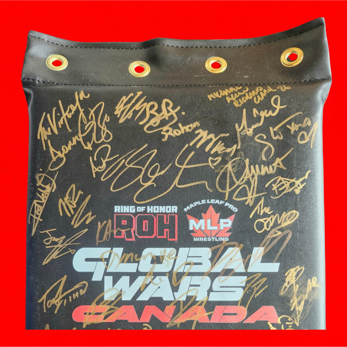 MLP/ROH Global Wars Autographed Turnbuckle 5/8