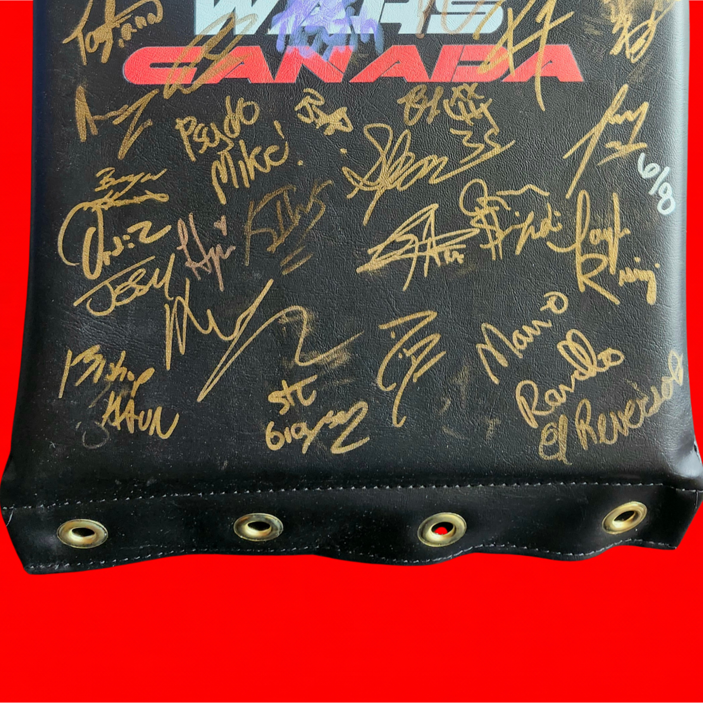 MLP/ROH Global Wars Autographed Turnbuckle 6/8