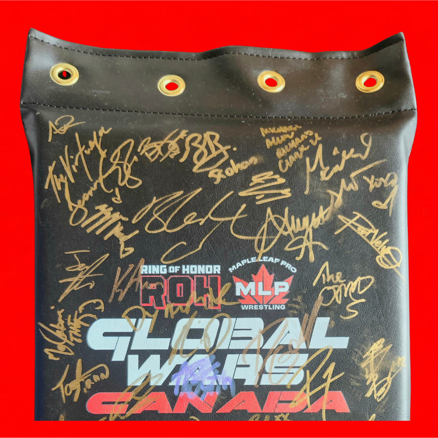 MLP/ROH Global Wars Autographed Turnbuckle 6/8