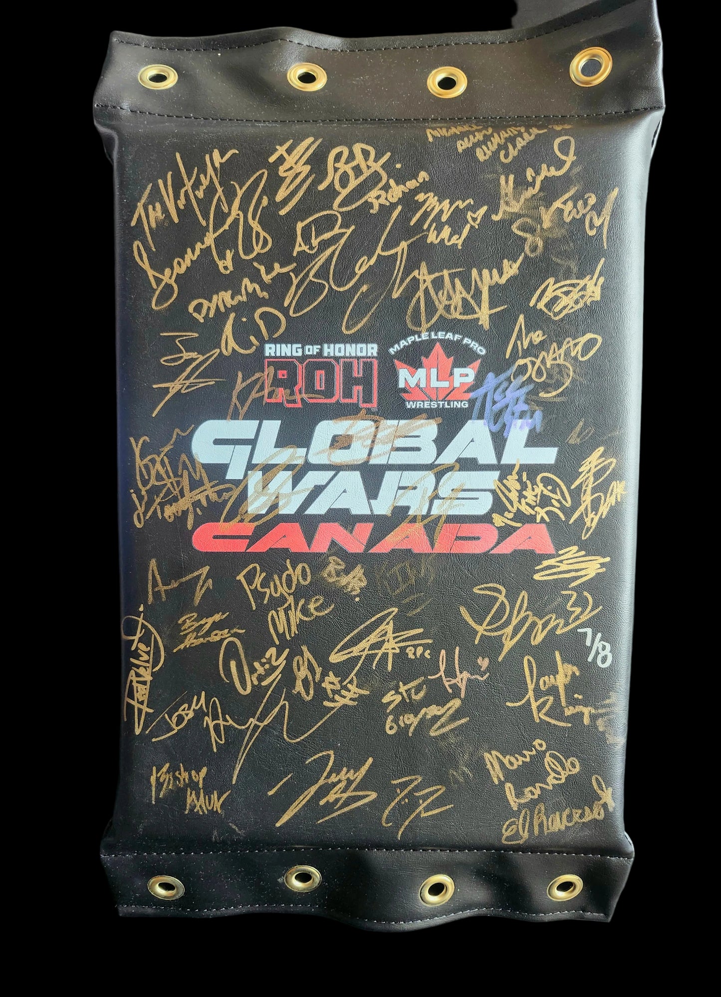 MLP/ROH Global Wars Autographed Turnbuckle 7/8